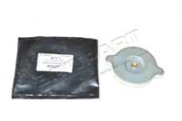 OIL FILLER CAP 598231