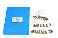 SCREW (OEM) 77941 *Pack Of 25*