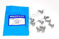 DRIVE SCREW X10 78329