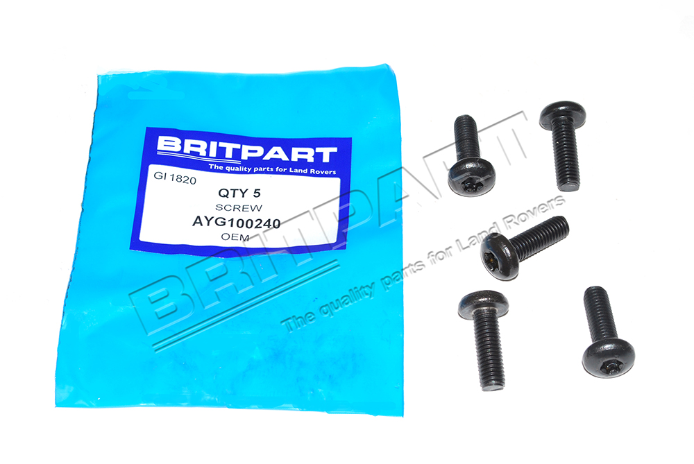 SCREW AYG100240 *Pack Of 5*