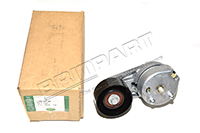 Tensioner (Genuine) LR016139