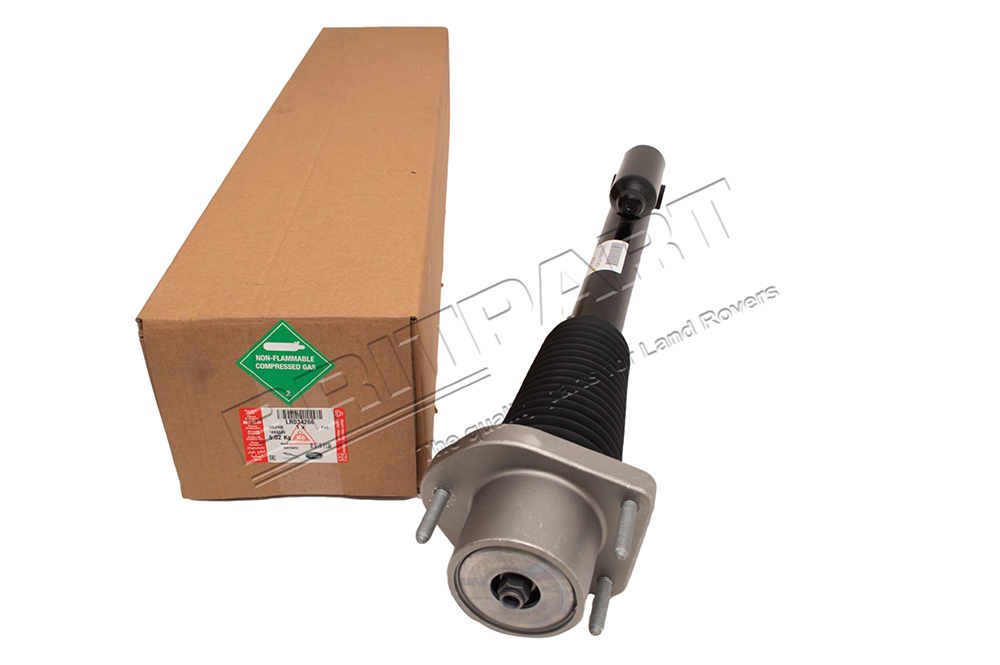 Shock RH (Genuine) LR034266