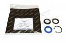 Steering Box Seal Kit -Output- (Transtec) STC2848 STC1042